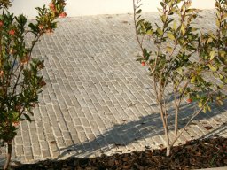 Alsace Clair Cobbles